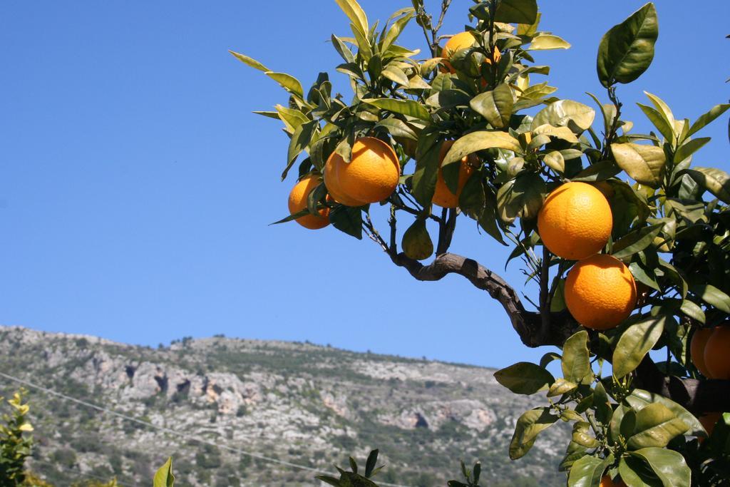 Albergo Masseria Refrigerio Ostuni Eksteriør bilde